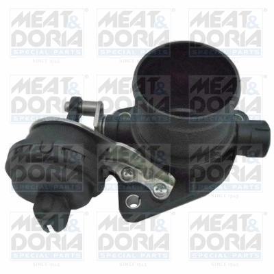 Throttle Body